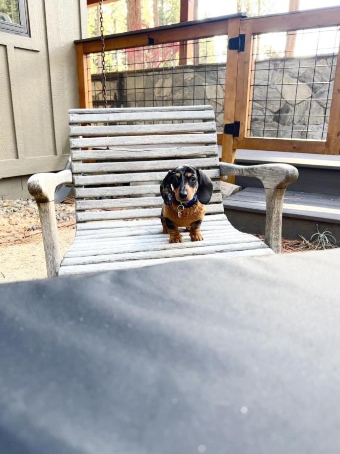 Mountain Pine Memories - B&B South Lake Tahoe