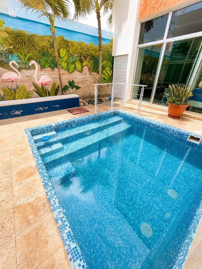 Trade winds International - B&B Progreso