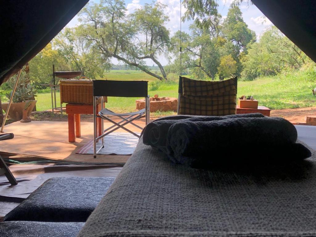 Appaloosa Luxury Glamping Tent near Cullinan - B&B Ystervarkfontein