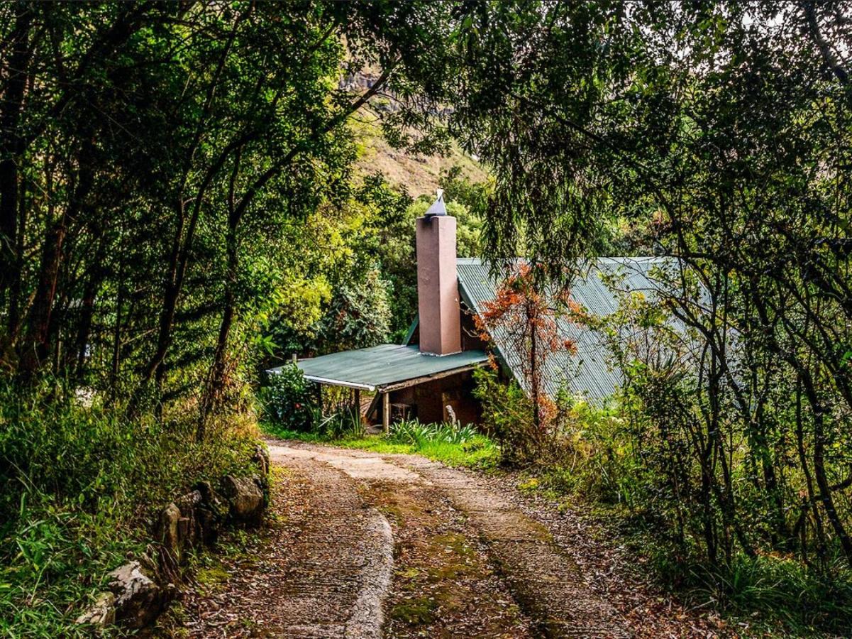 iKhayalamafu Mountain Reserve - B&B Forest Ranger