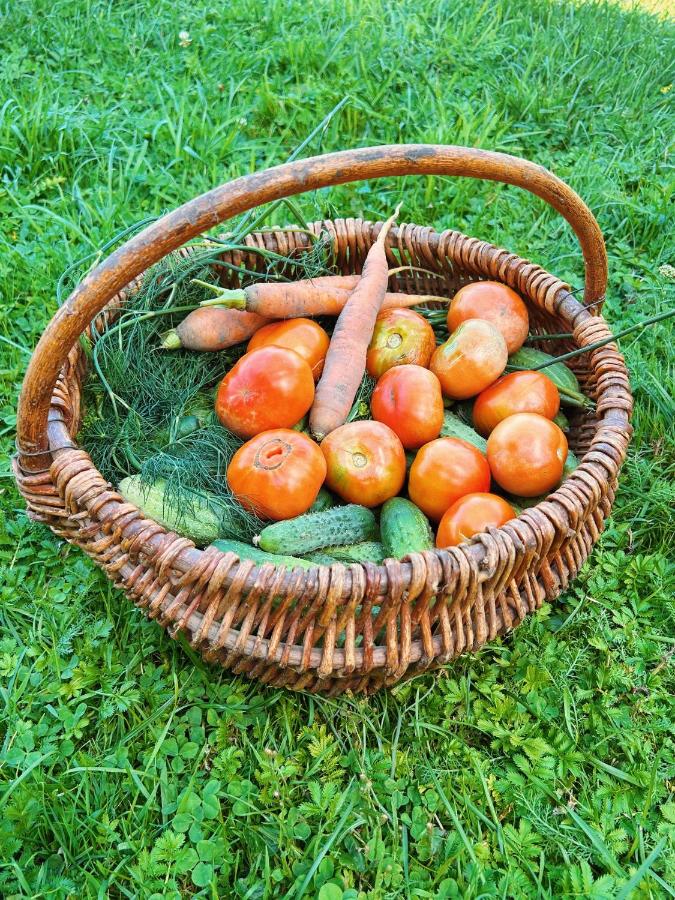 Agroturystyka Zagroda w Kobylicach - B&B Wola Uhruska