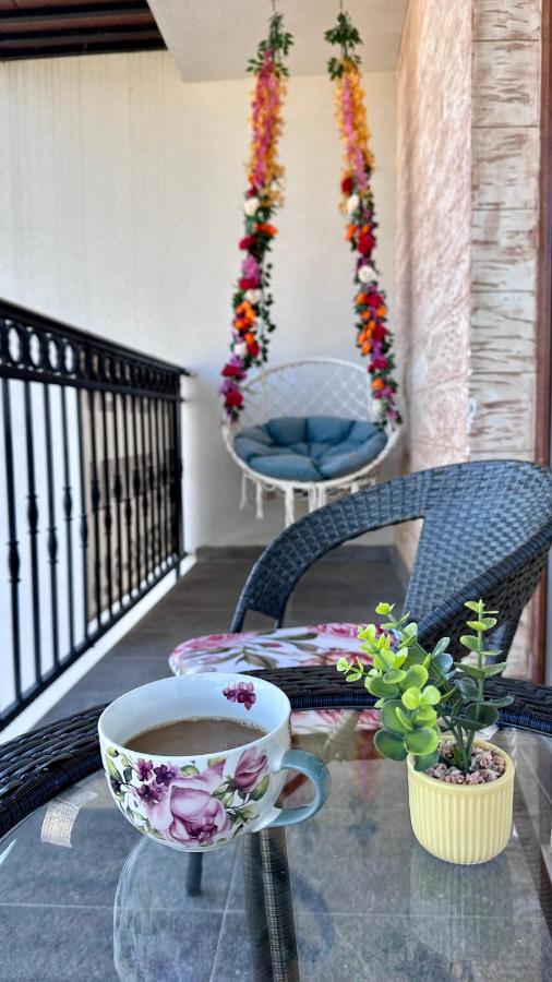 Grof Zlatibor - B&B Zlatibor