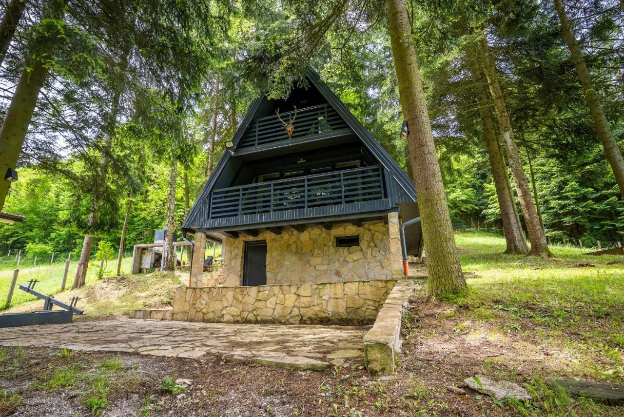Tarcin Forest A Frame - B&B Kazina Bara