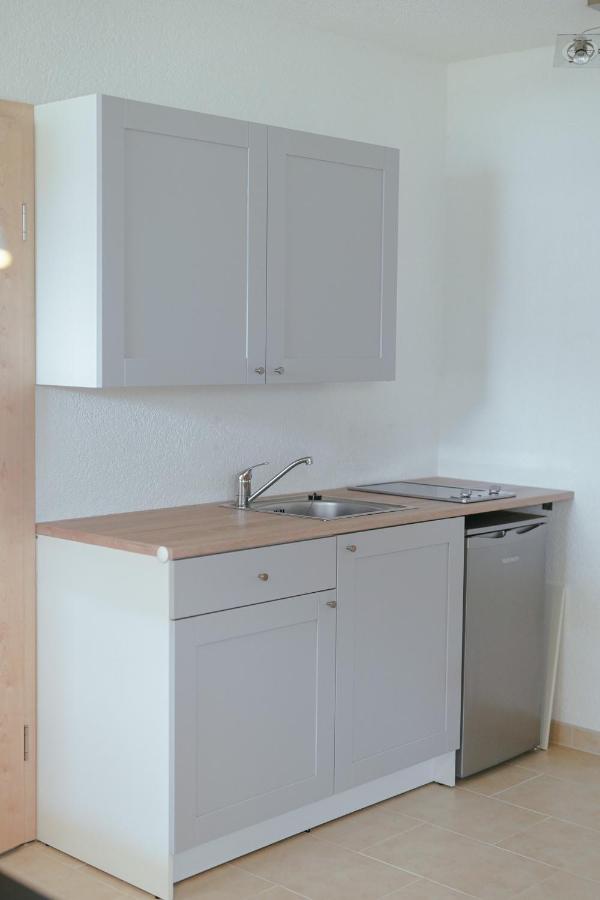 No 19 in the Black Forest - Ferienwohnung Sankt Blasien