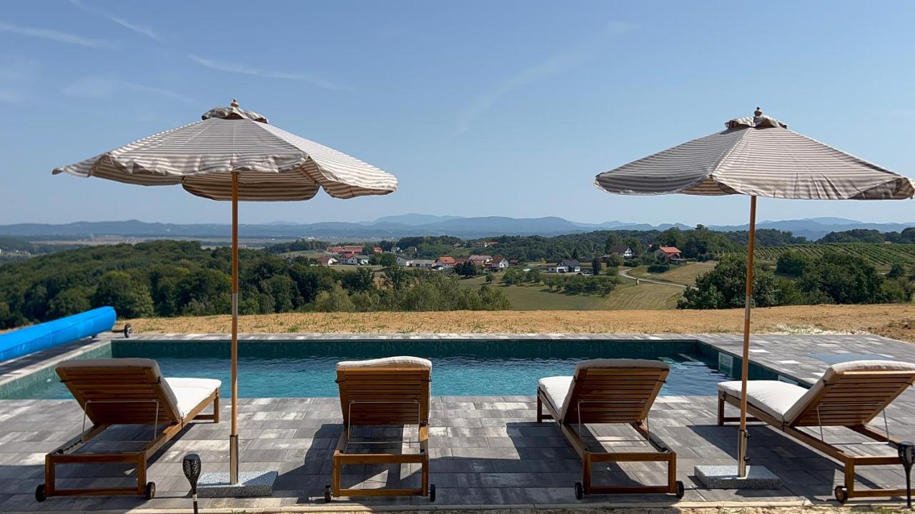 Villa Mestni Hill - B&B Ptuj