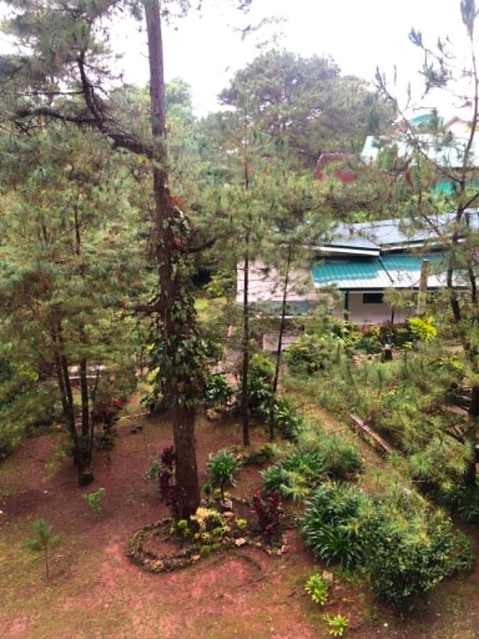 Brent Hill Studio Baguio - Sleeps 4 Near SM & Session Road - B&B Baguio