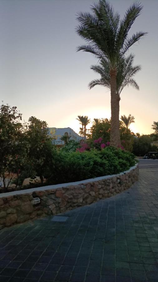 Domina Coral Bay Suite Elisir - B&B Sharm el-Sheikh