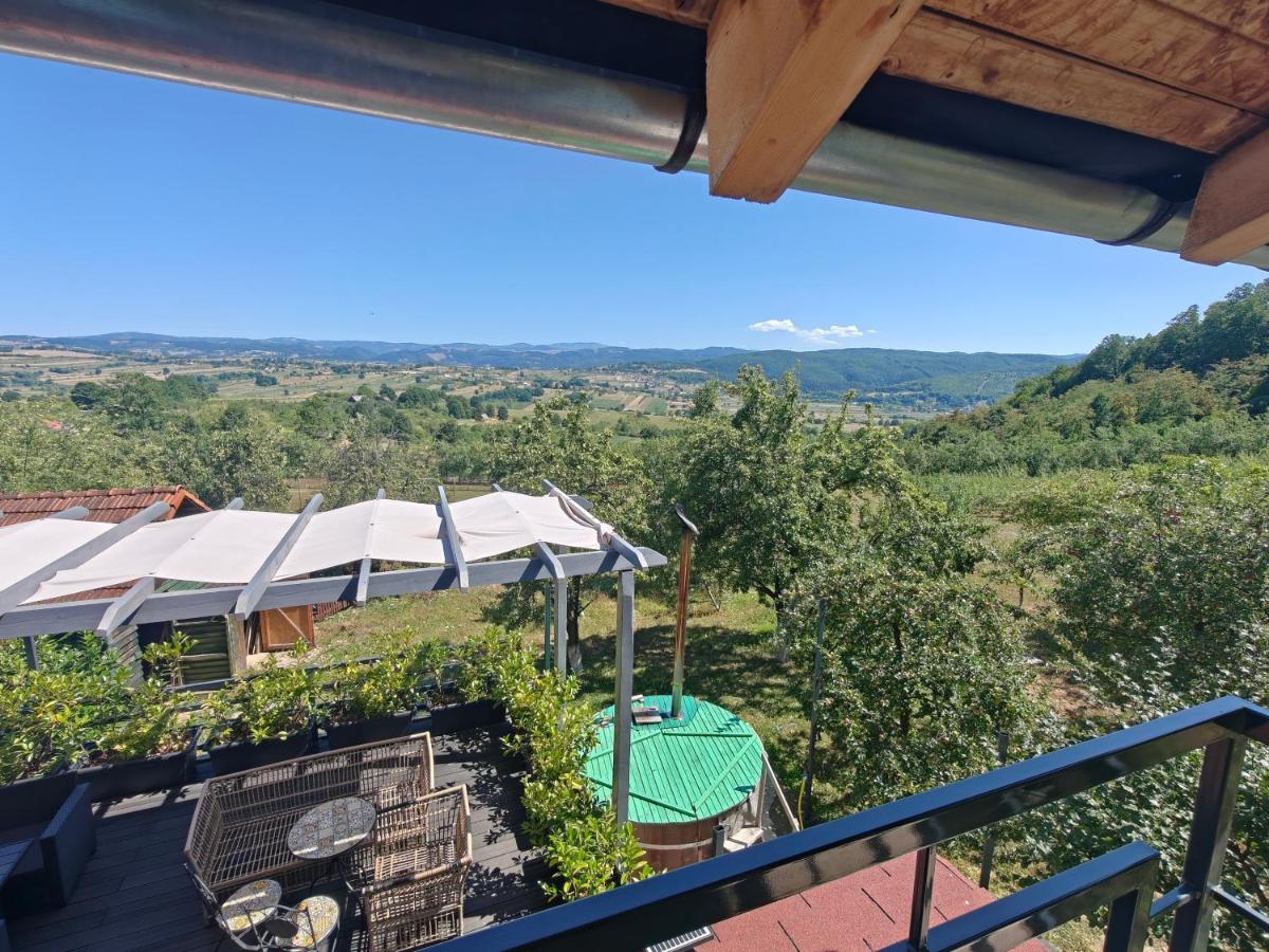 Casa Verde de Vadu - B&B Vadu Crişului