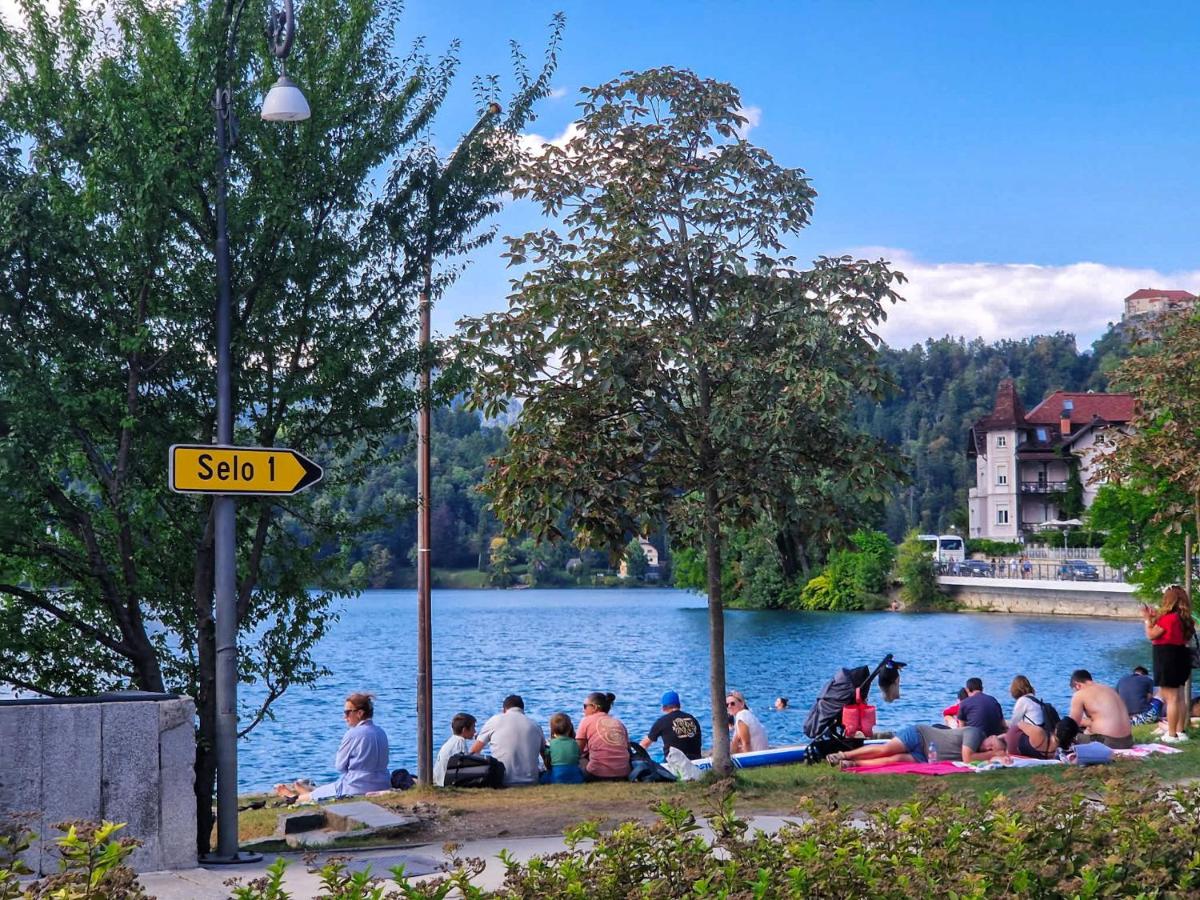 GUTA Lake - B&B Bled