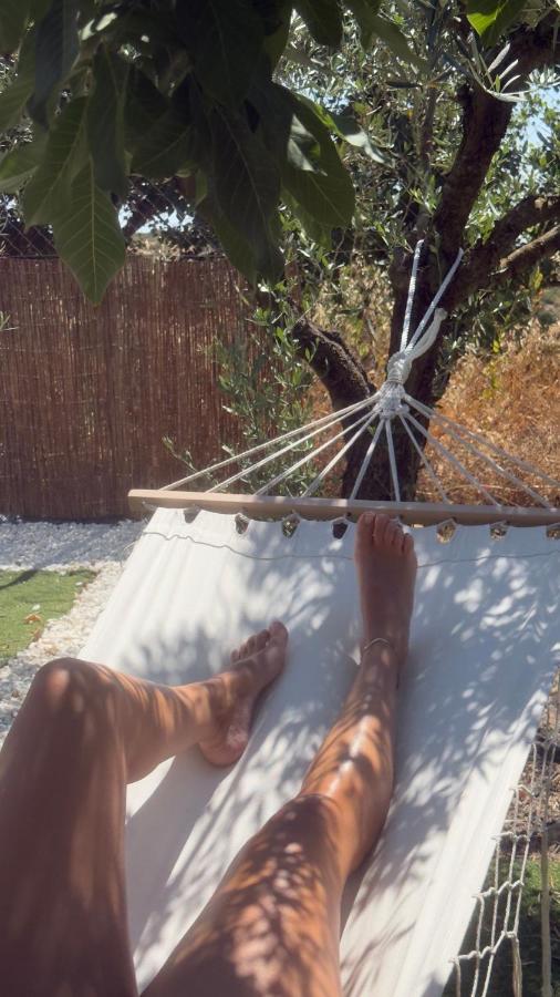 Villa Rural & Jacuzzi, Pool, Aire Acondicionado BBQ - B&B La Higuera