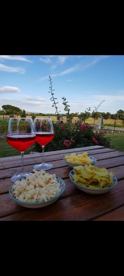 Agriturismo il Pony - B&B Grosseto