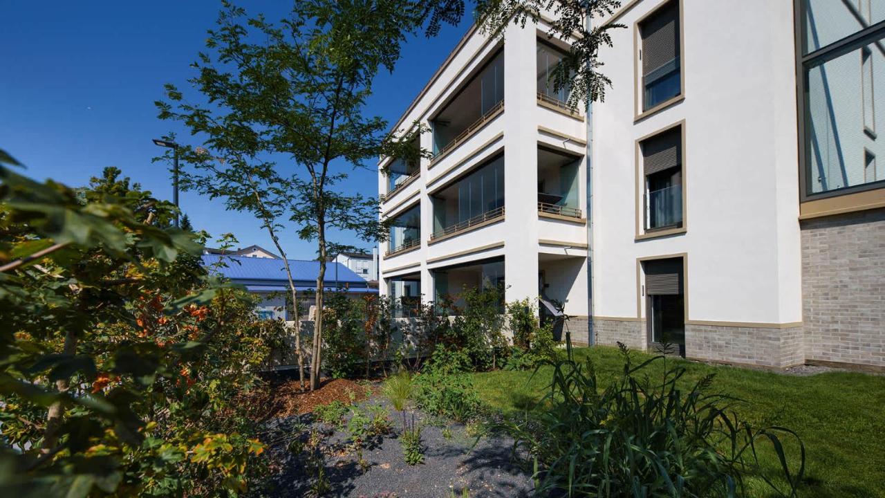 Luxuriöses 4-Zimmer-Apt im Boho-Stil I Top-Lage I Familienfreundlich I Terrasse I Großer Garten I Küche I Netflix I Kostenloser Parkplatz I 105 m2 - Chambres d'hôtes Eltville