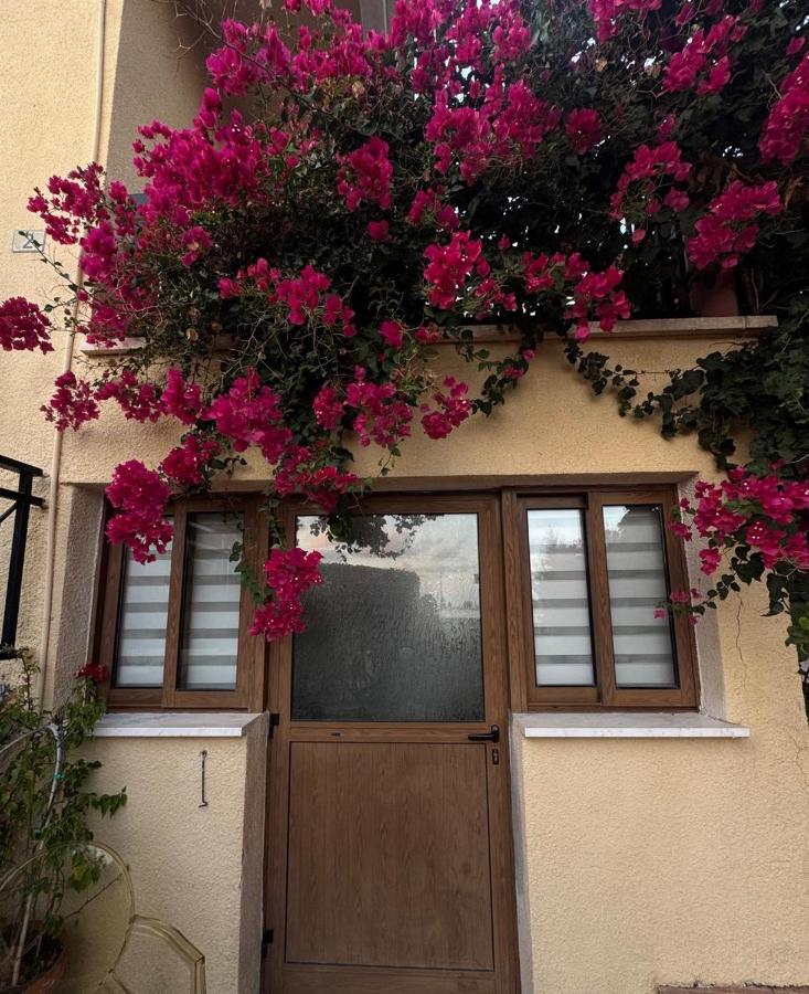 Bougainvillea Garden Apartment - B&B Peyia