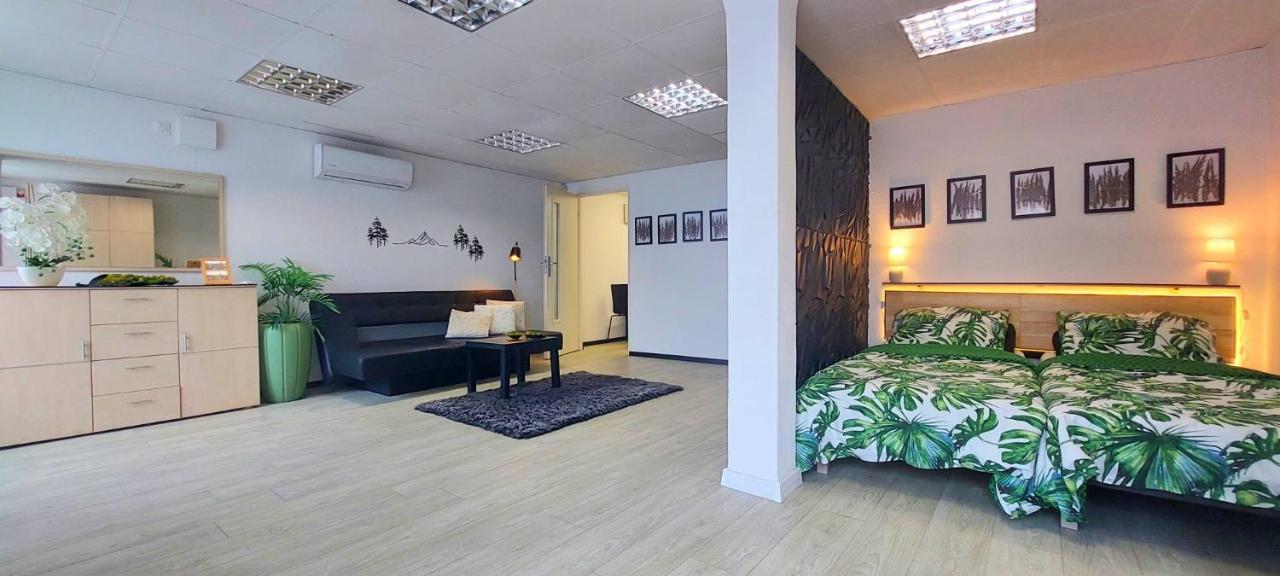 Izerapart Centrum blisko Świeradowa-Zdrój - B&B Mirsk