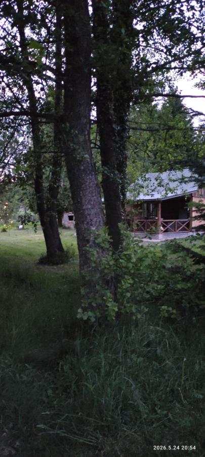Zielony Anioł nad Stawami, Poleski Park Narodowy - Chambres d'hôtes Laski Bruskie