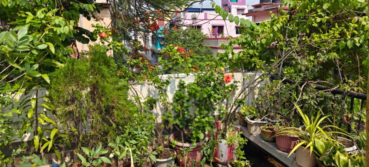 The Garden Nest Kolkata - B&B Calcutta