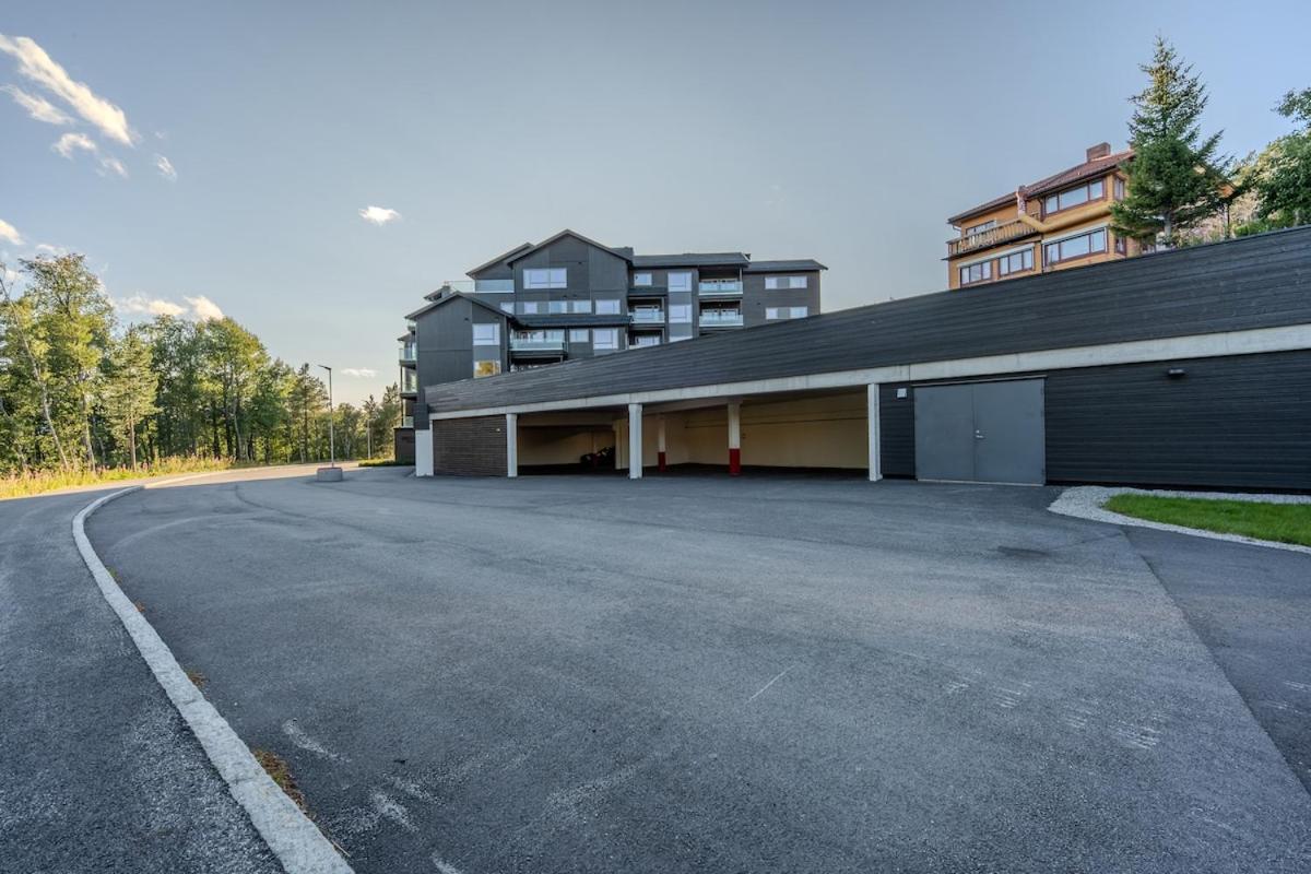 Spacious Apartment in city centre - Bed and Breakfast Geilo