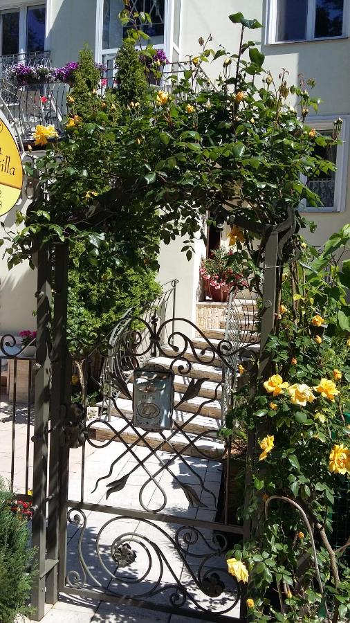 Comfort Willa - Bed and Breakfast