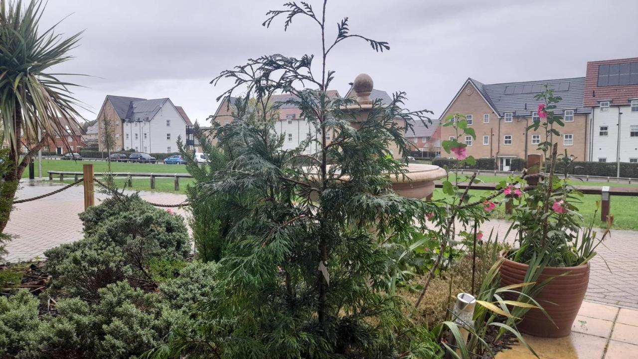 Homestay guests nest - Bed and Breakfast Stanford-le-Hope