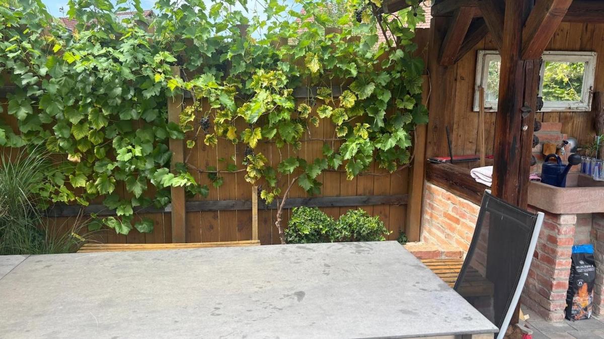 Family vacation near Europa-Park & Strasbourg - Ferienwohnung Meißenheim
