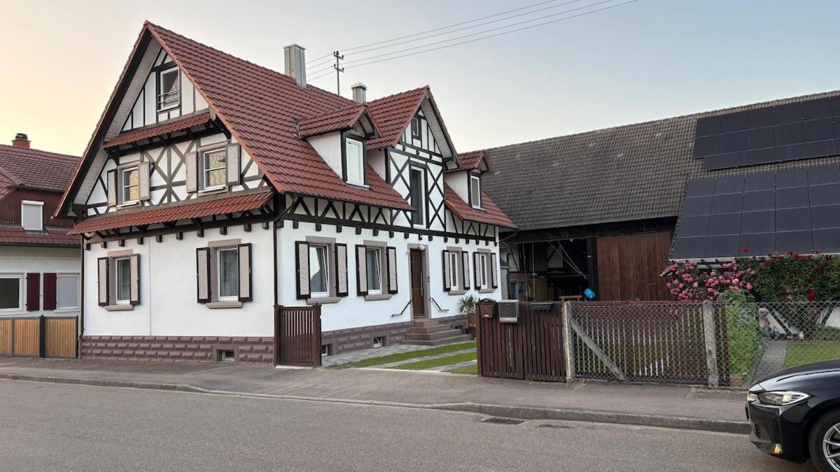 Family vacation near Europa-Park & Strasbourg - Ferienwohnung Meißenheim