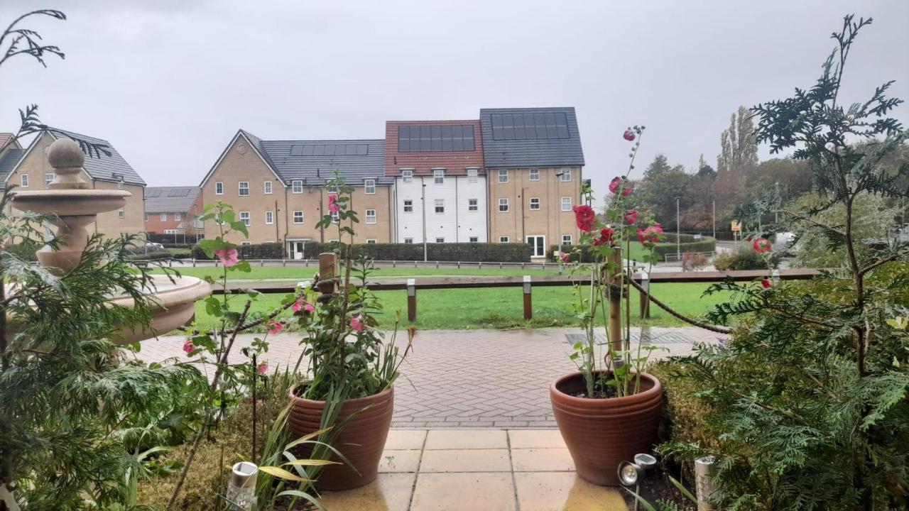 Homestay guests nest - Bed and Breakfast Stanford-le-Hope