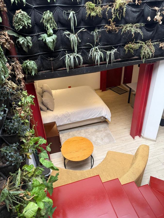 Chambre Double avec Terrasse