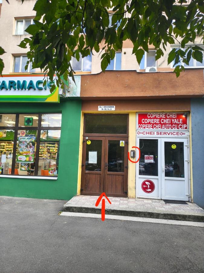Ospitalier Olimpia Boho - B&B Timișoara