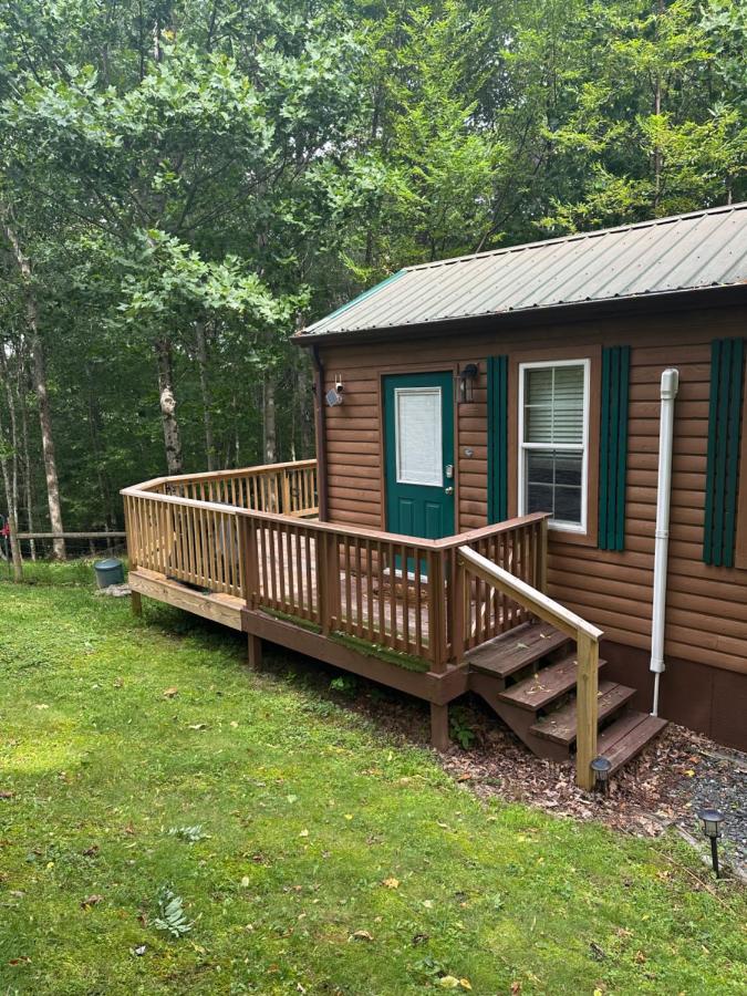 Scenic Mountain Retreat, Dog Friendly, Deck - B&B Boone