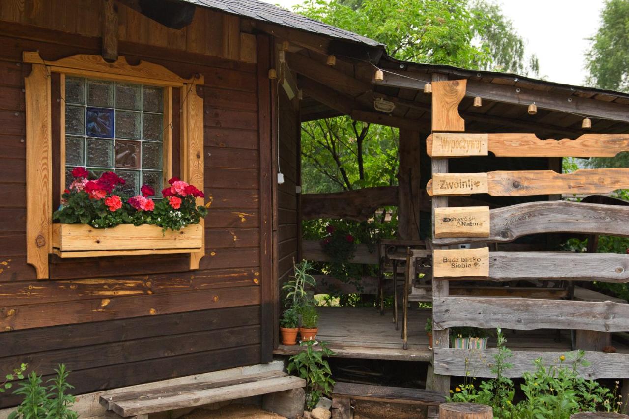 Agroturystyka Lasy Północy Leśna Chata - Chambres d'hôtes Dzierniakowo