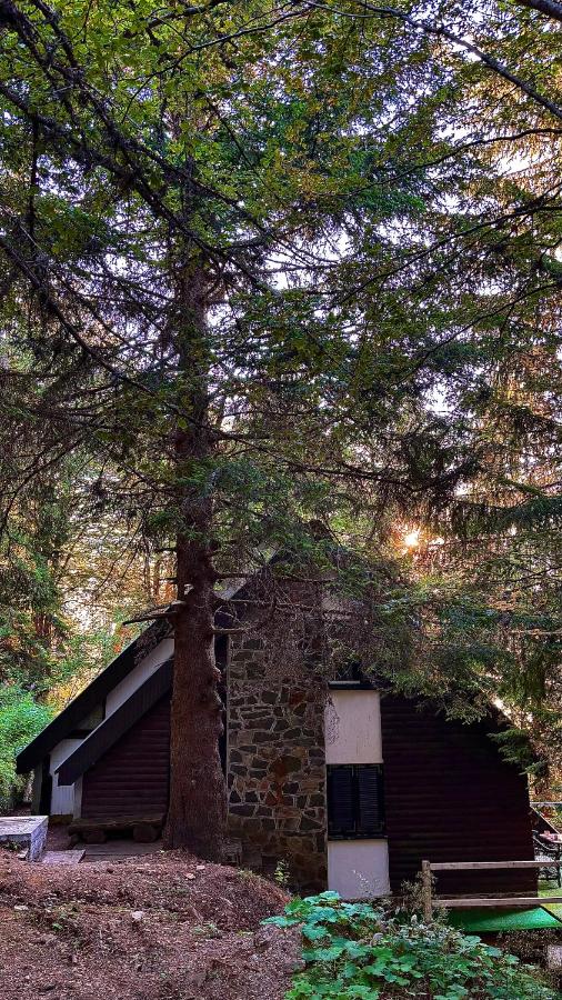 VILA PAVLOVIC - B&B Kopaonik