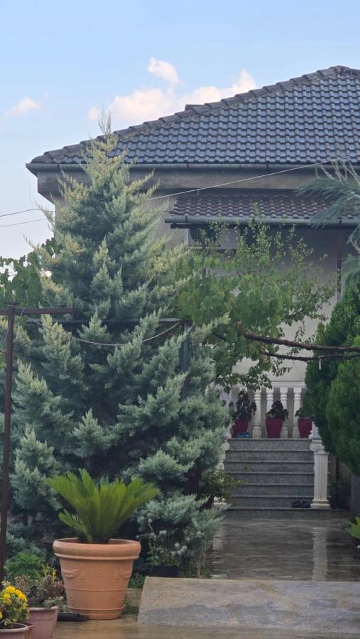Proko Guest House - B&B Argirocastro