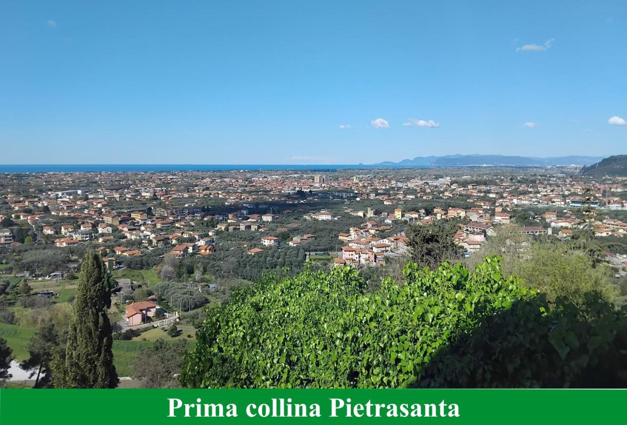 Belvedere 10 - Ferienwohnung Pietrasanta