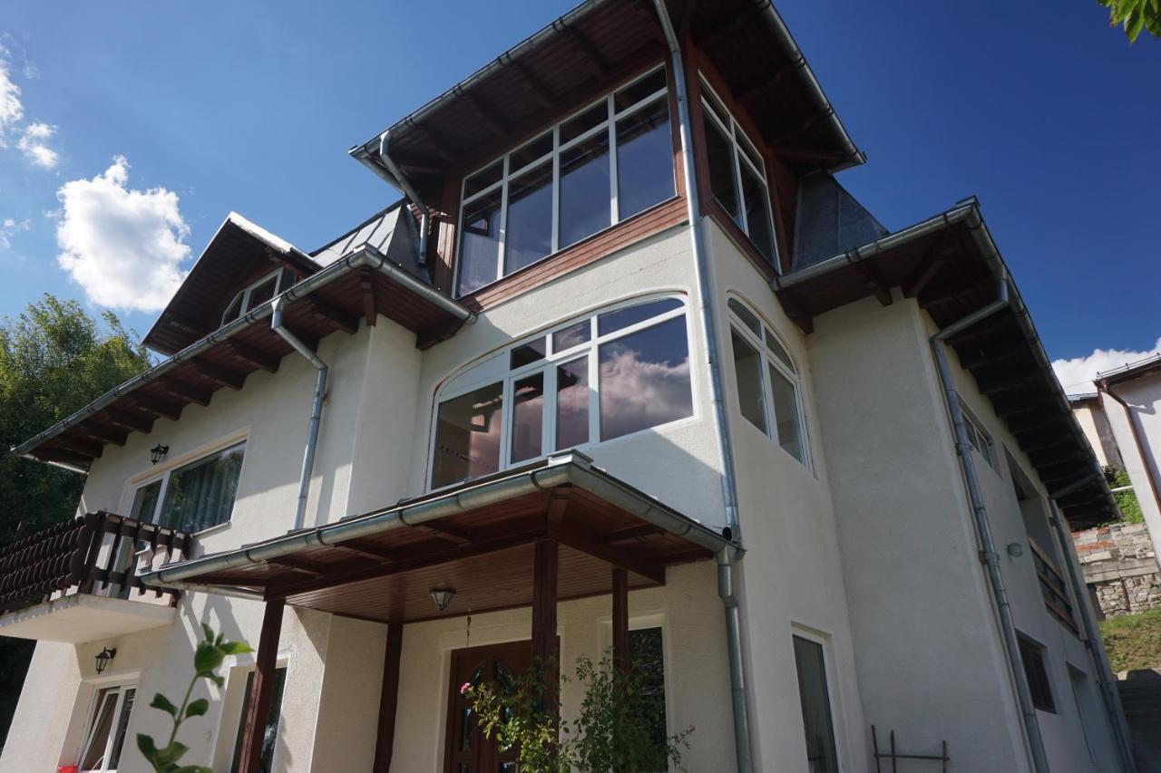 Vila Elisabeta - B&B