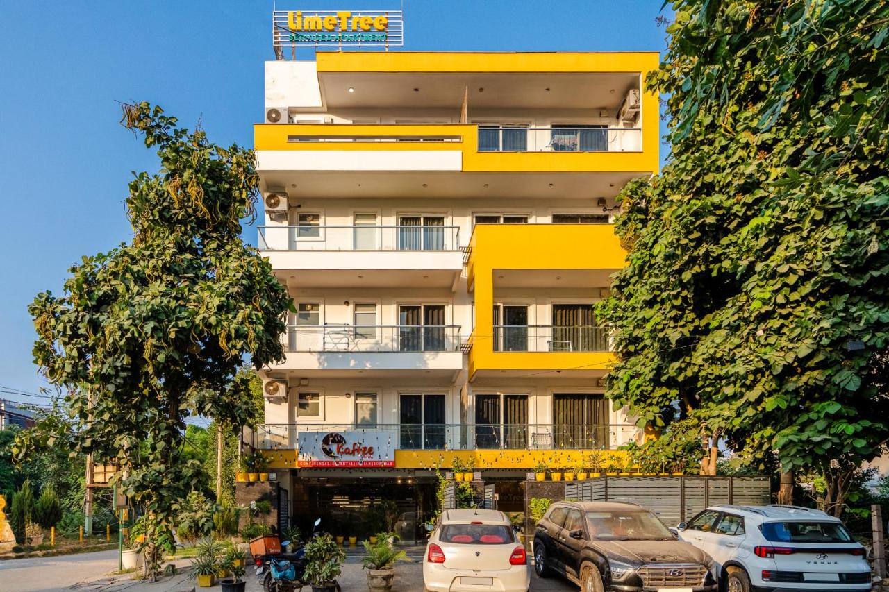 Lime Tree Studio Apartment near Artemis - Chambres d'hôtes Gurgaon