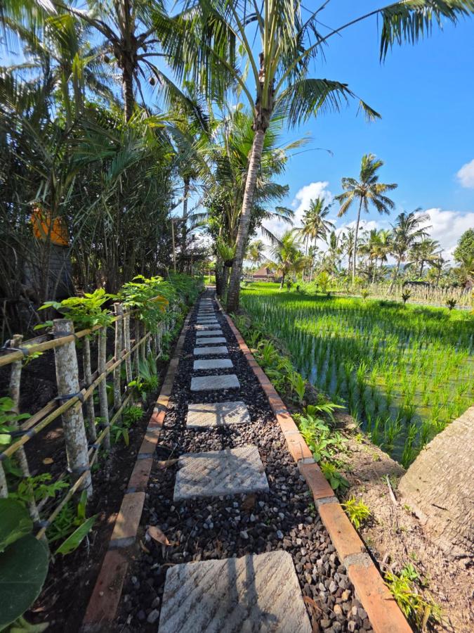 Golden paddy bamboo house -by sunrise hill - B&B Sidemen