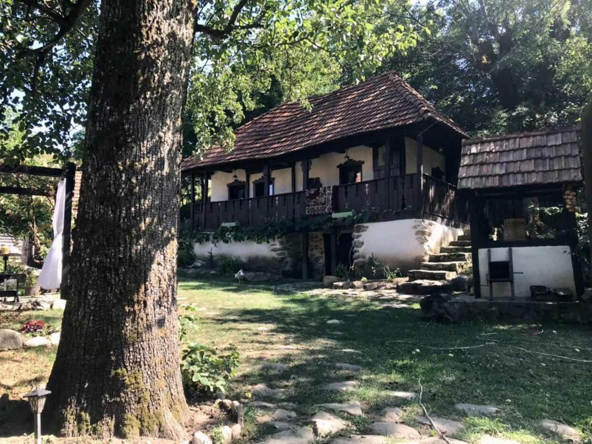 Casa Veche Voia - Chambres d'hôtes Voia