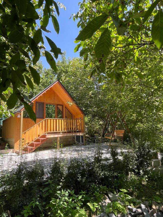 SkyView - B&B Artabuynk