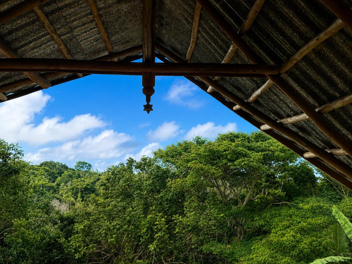 Chalé de madeira na Mata Atlantica - Sítio Hawai - Ferienwohnung Itacaré