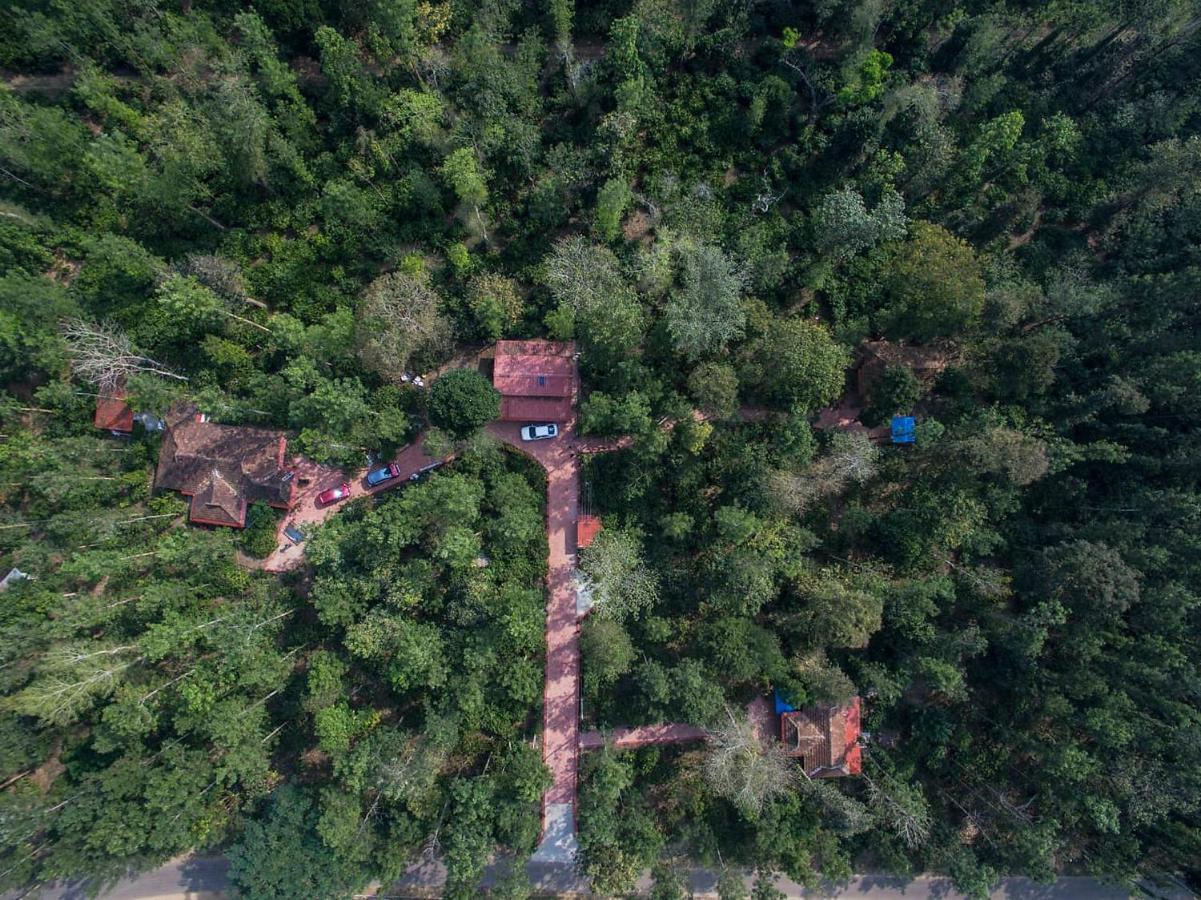 Coorg Humblenest resort - B&B Suntikoppa
