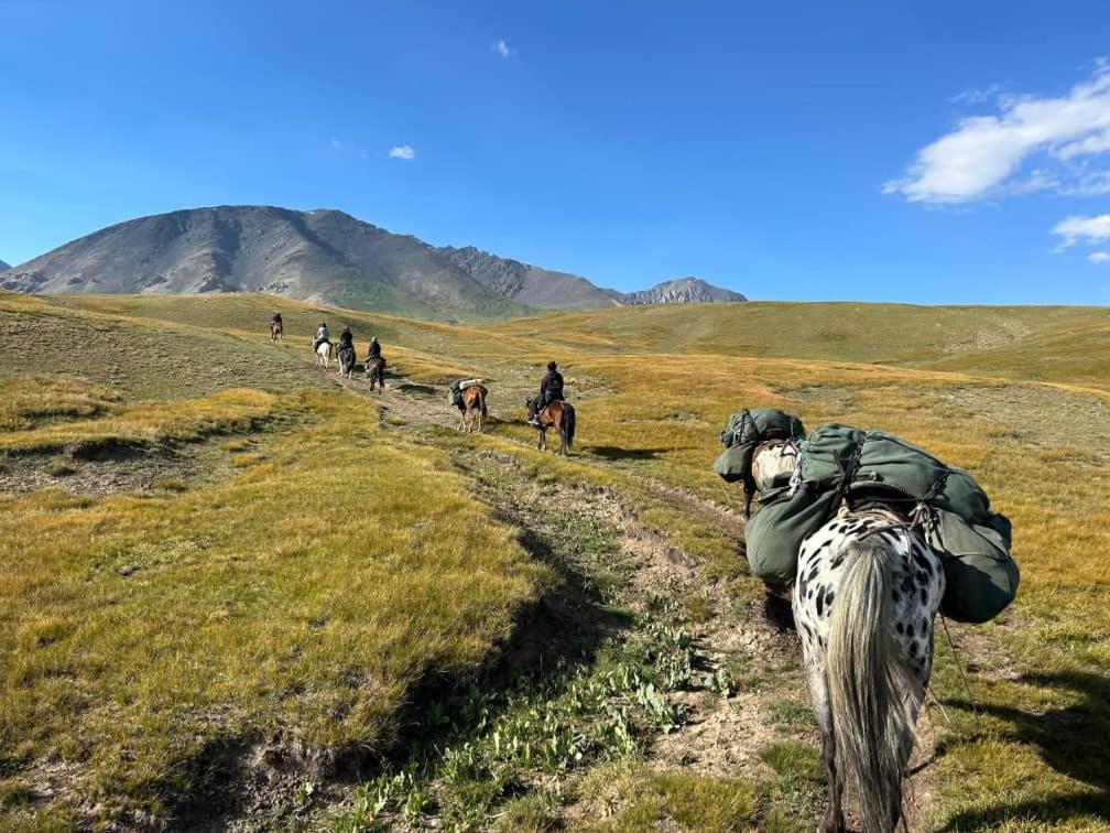 TIAN-SHAN guest house - Bed and Breakfast Kyzyltu
