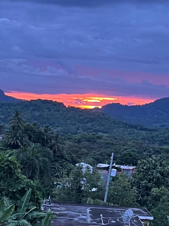 King bed! Ocean mt view and beach 5 to 10 min - B&B Luquillo