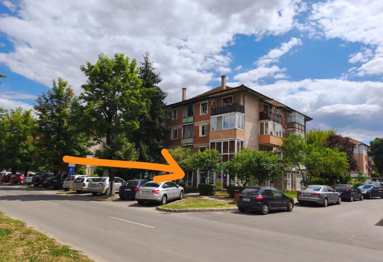 Central Art Apartment - B&B Hunedoara