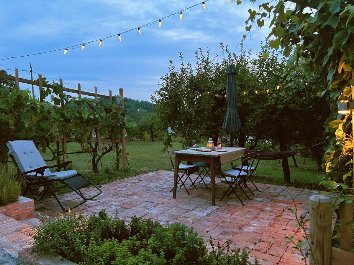 Maria's Orchard Cottage - Nature Retreat in Slovenia - B&B Rogaška Slatina