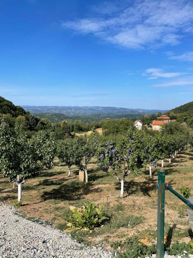 Brvnara Mia - B&B Rudnik