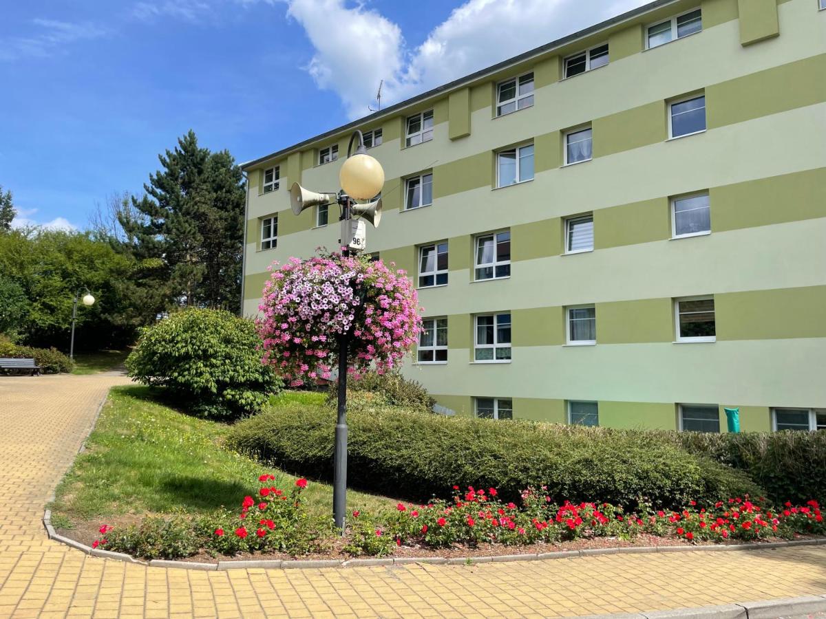 Mechový apartmán - B&B Krásná Lípa
