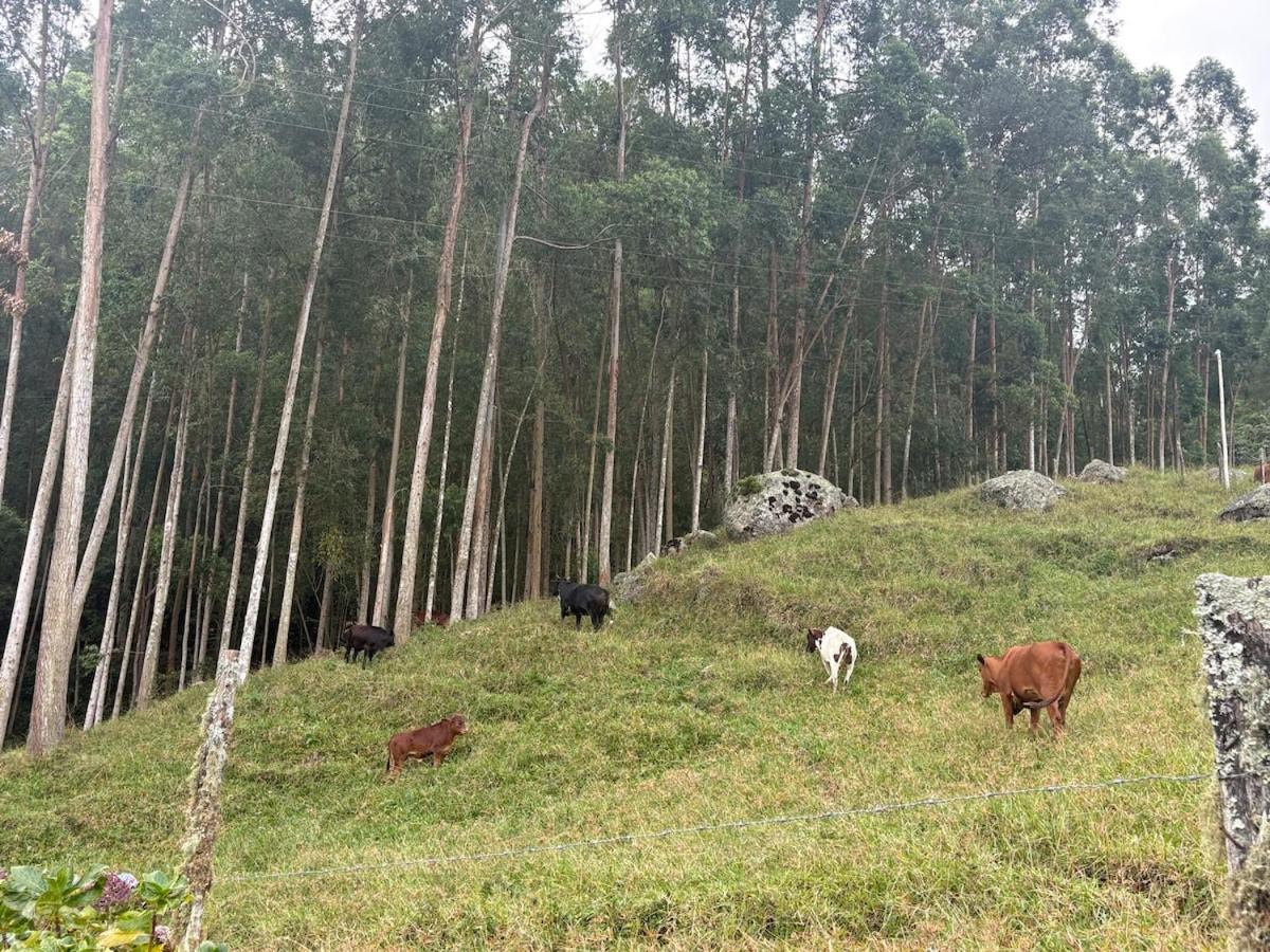 Rancho Dutton - Bed and Breakfast Nova Friburgo