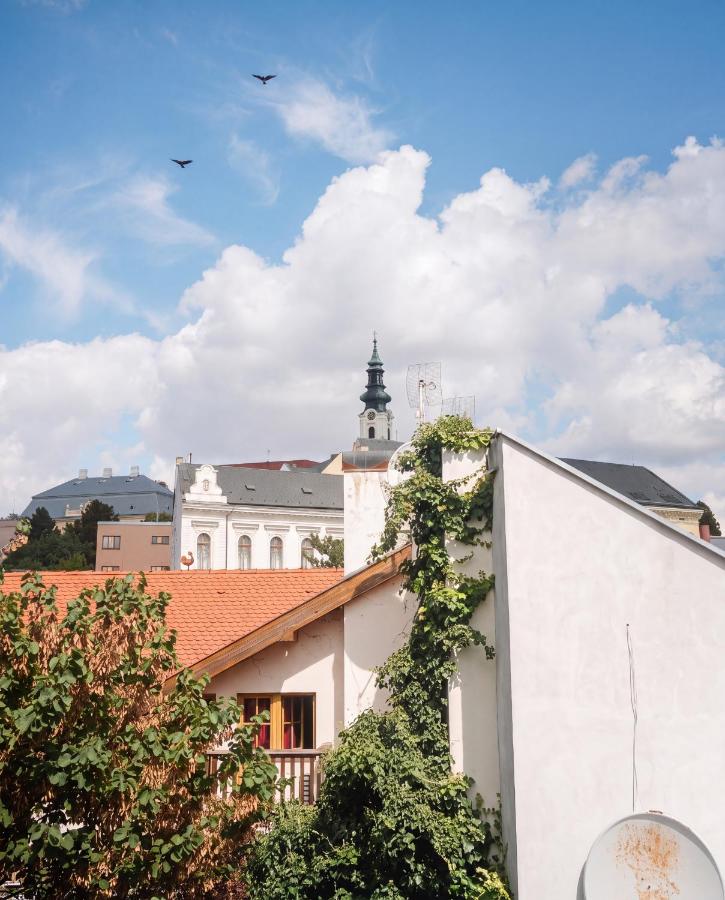 Old town attic suite HP5 - Bed and Breakfast Nitra