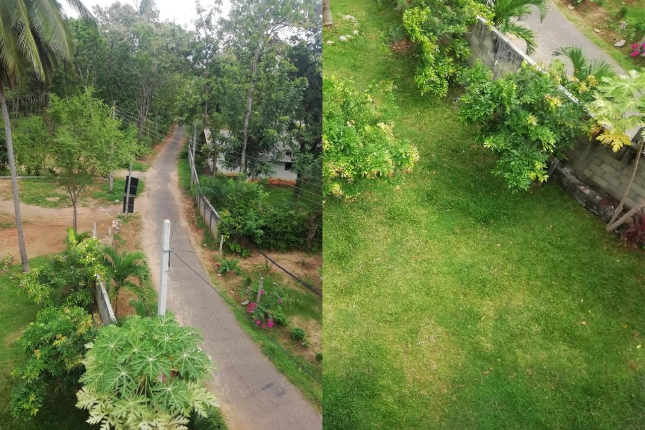Dream Day Leisure Villa - B&B Sigiriya