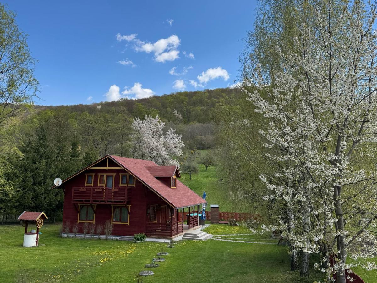 Heart of the Forest Penthouse - Ferienwohnung Ghipeș